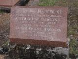 image of grave number 651150